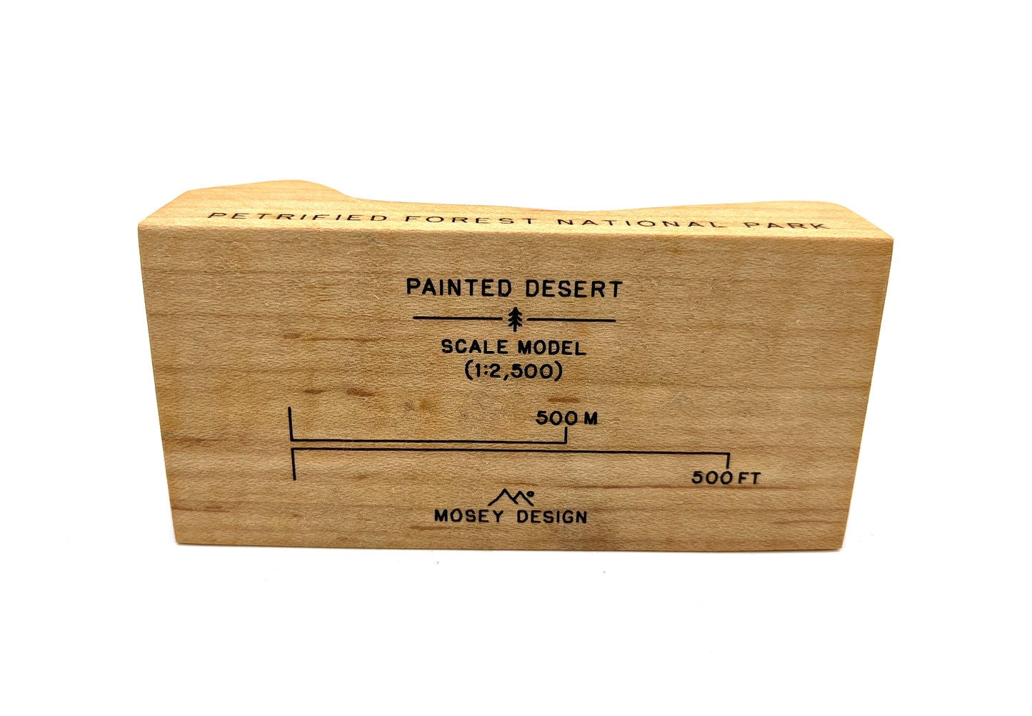 Petrified Forest National Park