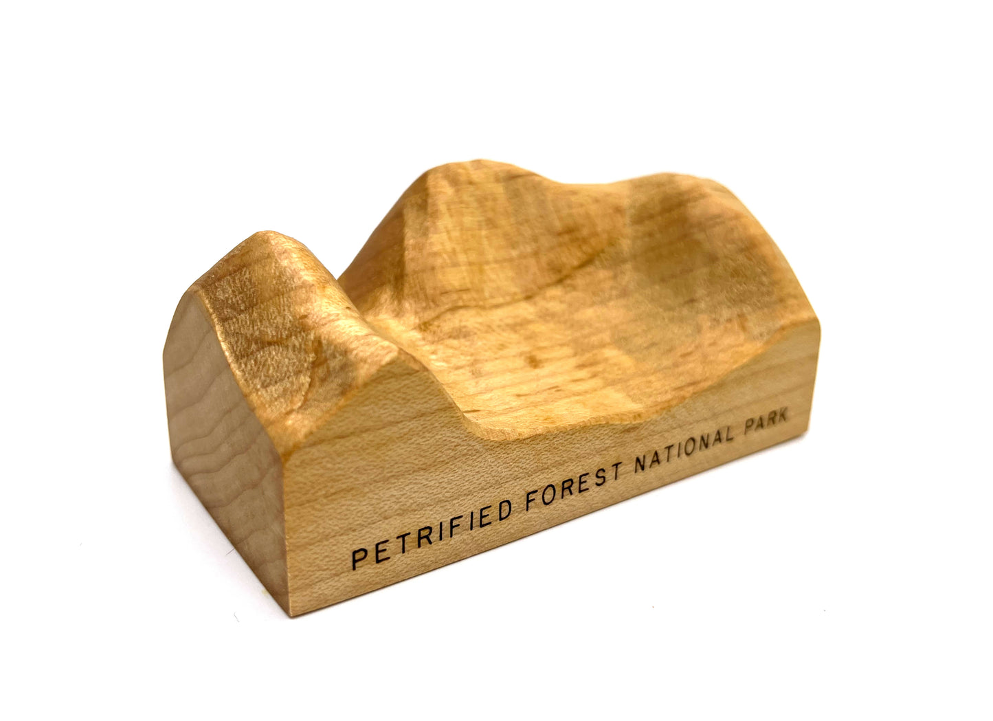 Petrified Forest National Park