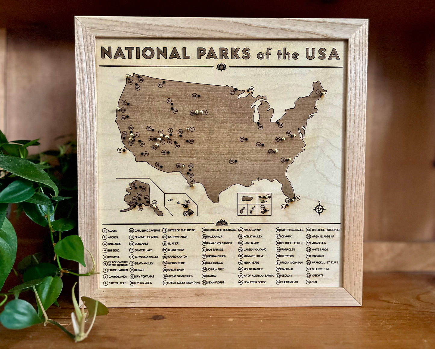National Parks Push-Pin Map