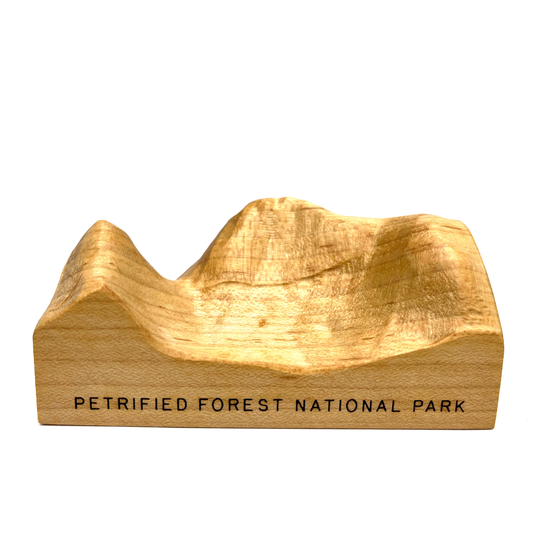 Petrified Forest National Park